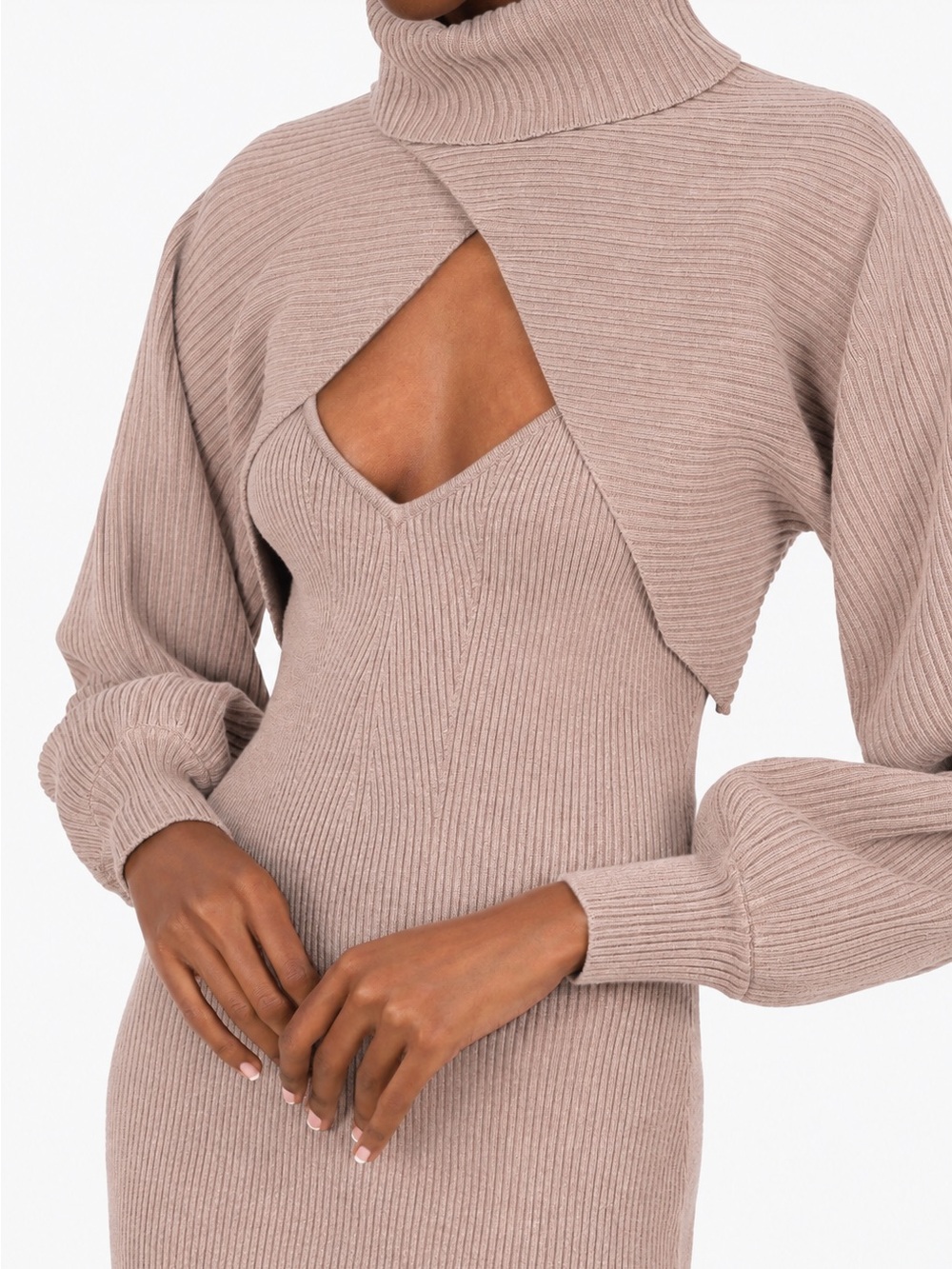 Ronny Kobo Lalu dress  with the turtleneck top